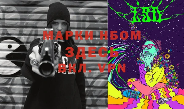 метадон Алексин