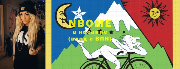 метадон Алексин