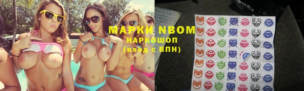 метадон Алексин
